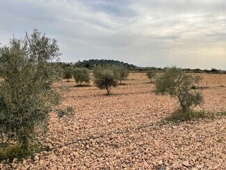 More details for Traviesa de Caudete, Yecla - Land for Sale