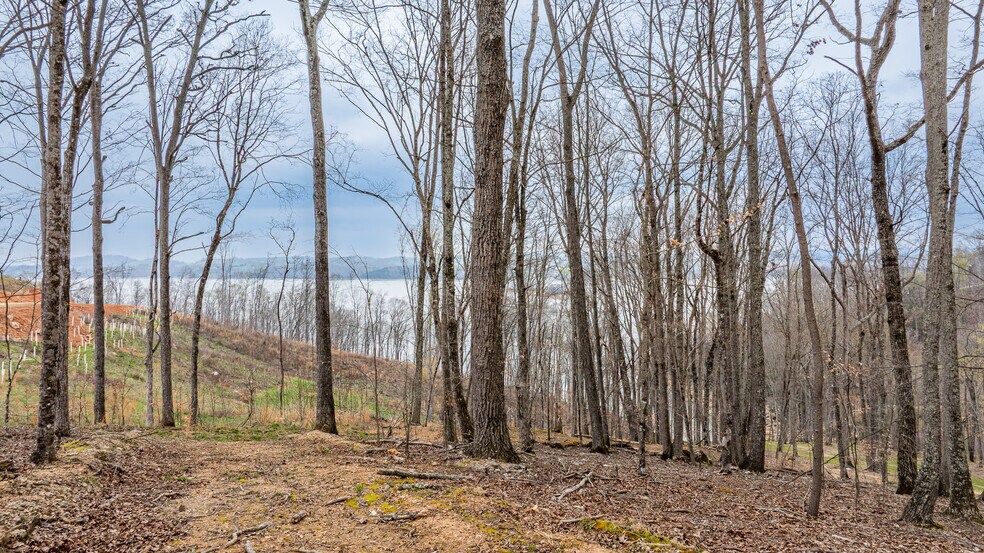 Lot 3 Lowe Dr, Talbott, TN à vendre - Aérien - Image 3 de 10