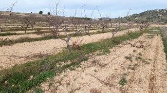 More details for Camino de los Charquillos, Yecla - Land for Lease