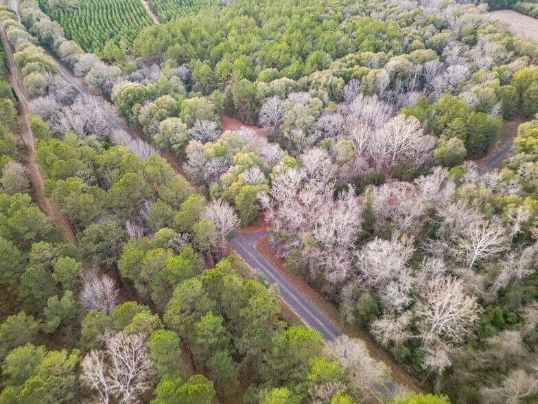 9036 Bullard Rd, Dry Branch, GA à vendre - Aérien - Image 3 de 50