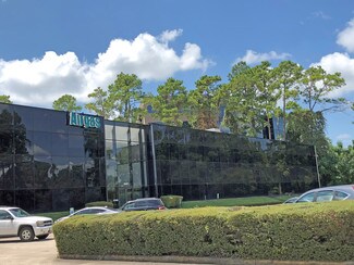 Plus de détails pour 25227 Grogans Mill Rd, The Woodlands, TX - Bureau à louer
