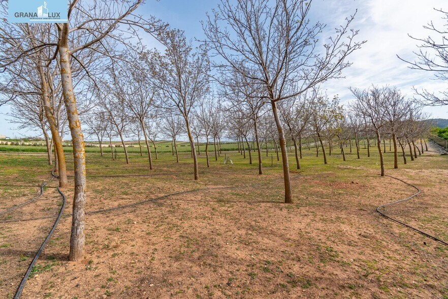 Land in Padul for sale - Building Photo - Image 3 of 50