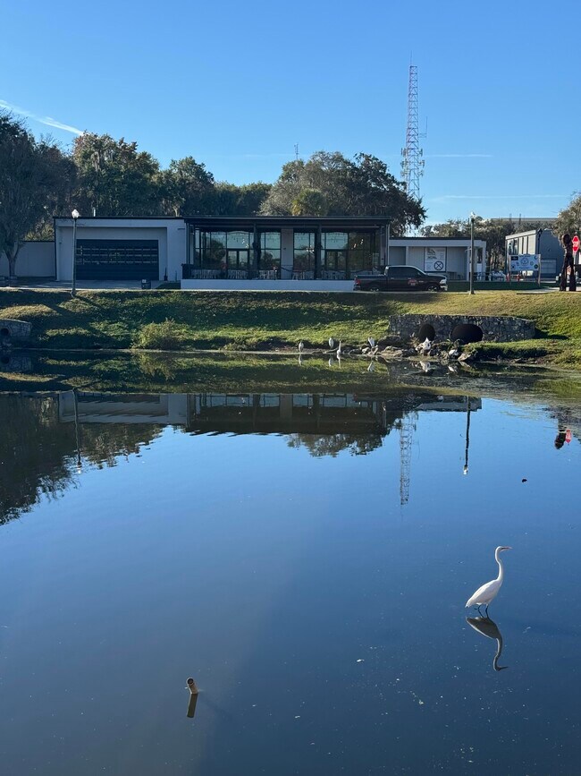 More details for 235 NE Watula Ave, Ocala, FL - Retail for Sale
