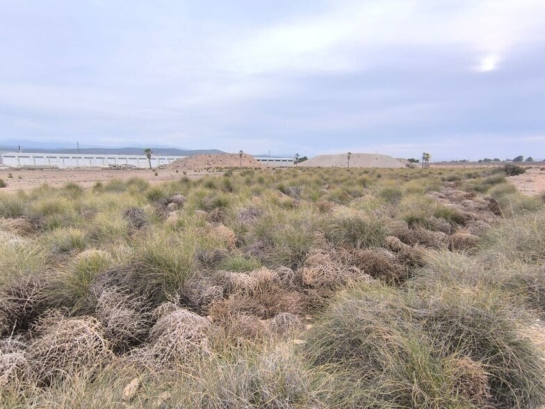 Terrain dans San José, Yecla, Ayuntamiento, MURCIA à vendre - Photo du bâtiment - Image 2 de 8