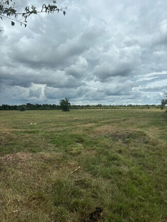 Plus de détails pour 00 Orange Hill rd, Sealy, TX - Terrain à vendre