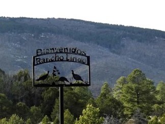 More details for 248 Los Penetos Rd, Torreon, NM - Land for Sale