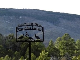 More details for 248 Los Penetos Rd, Torreon, NM - Land for Sale