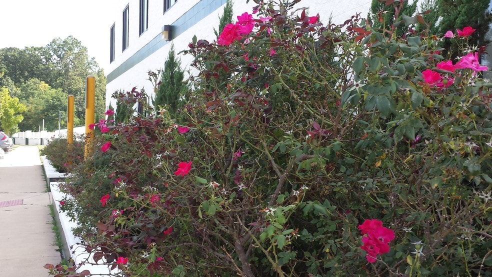 11441 Robertson Dr, Manassas, VA à louer - Photo du bâtiment - Image 3 de 4