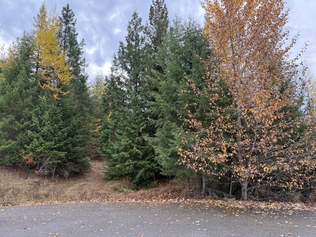 TBD Loch Mira Heights Road, Cocolalla, ID à vendre - Aérien - Image 3 de 5