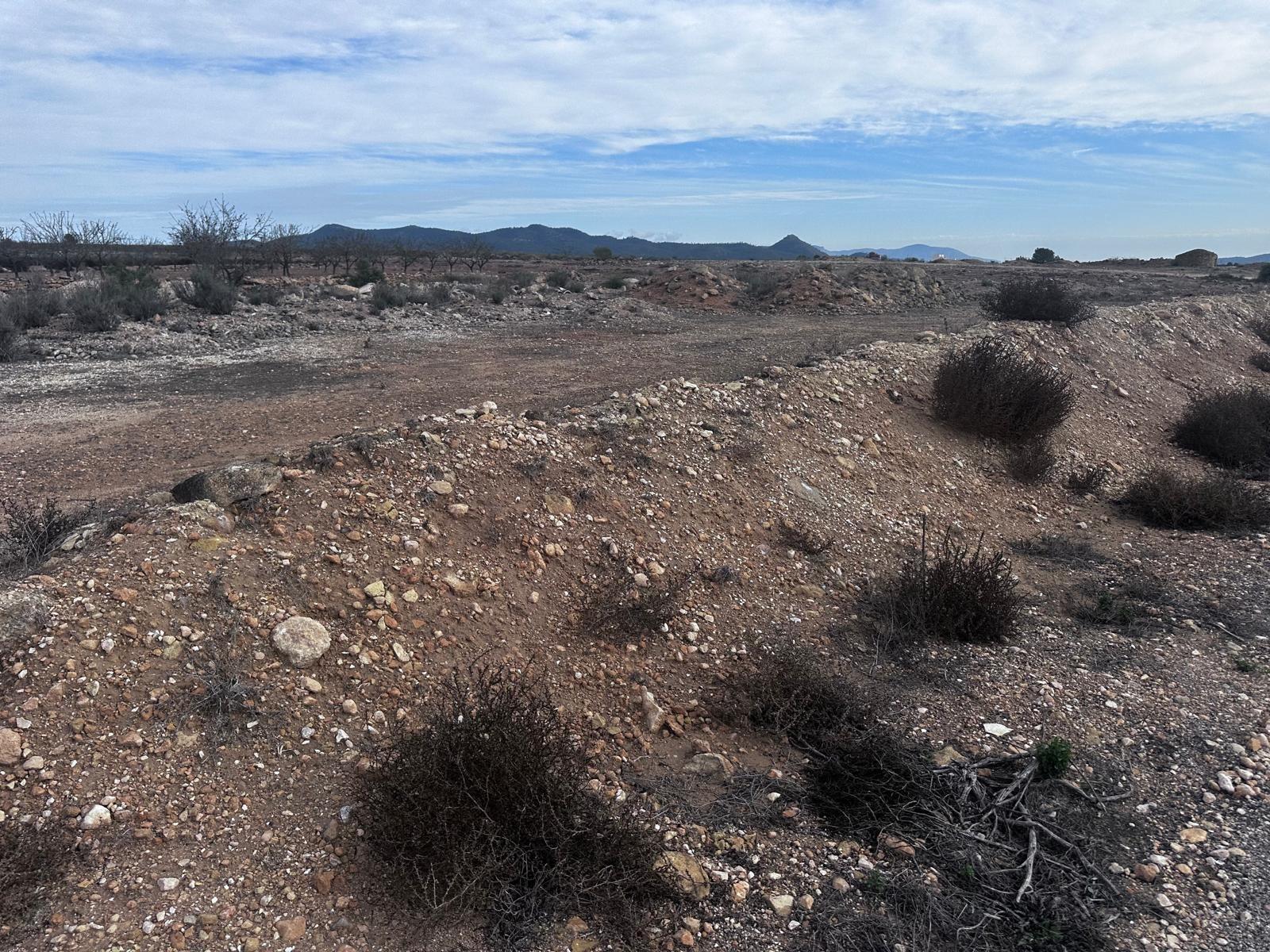 Terrain dans MONÒVER, Alicante à vendre Plan de site- Image 1 de 3