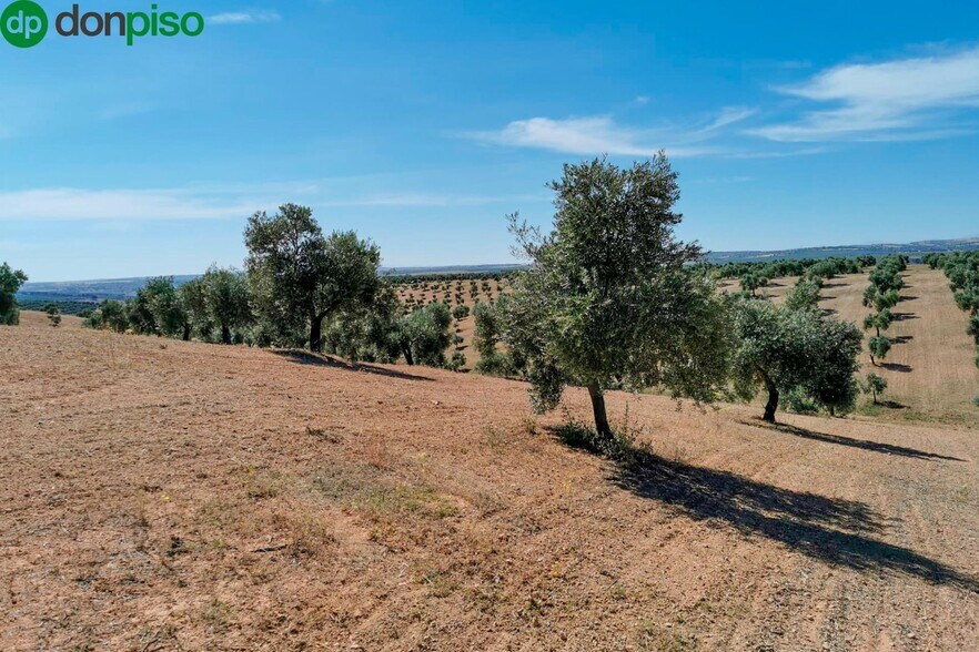 Llano Salviar Polígono, 13, Parcela: 20, Huelma, Jaén for sale - Aerial - Image 3 of 8