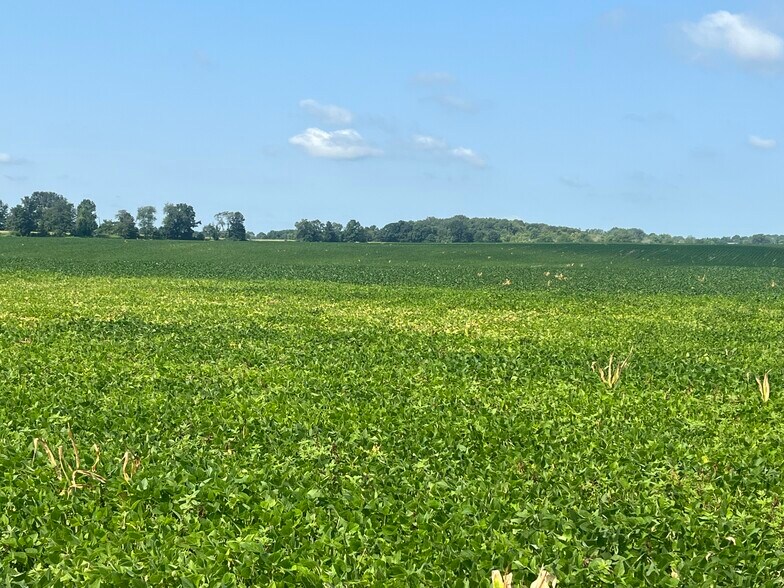 294 S 200 W, Valparaiso, IN à vendre - Autre - Image 2 de 5