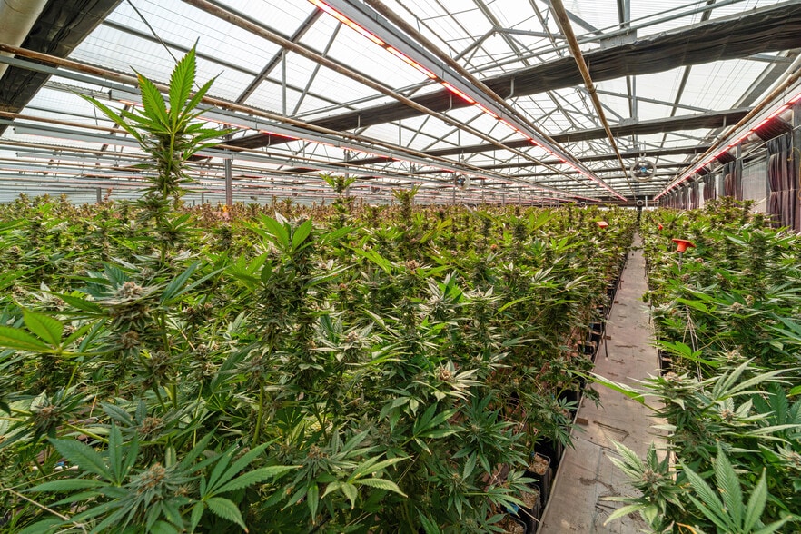 5360 Foothill Rd, Carpinteria, CA for sale - Building Photo - Image 3 of 7