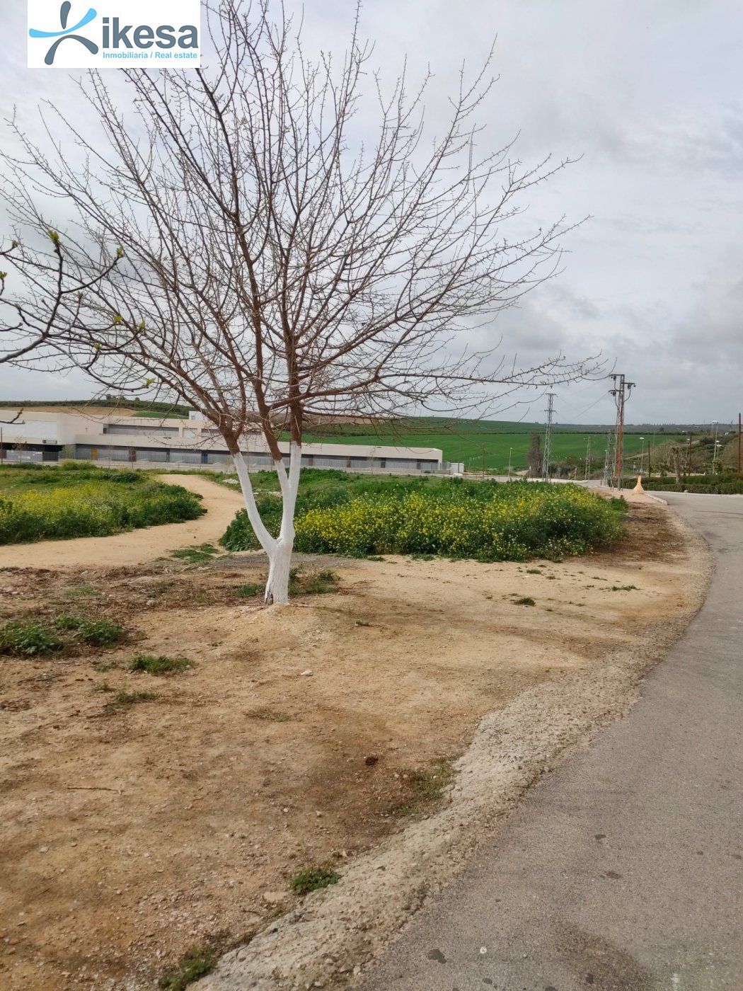Land in Burguillos, Sevilla for sale Building Photo- Image 1 of 22