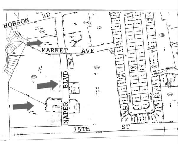 1227-1315 S Naper Blvd, Naperville, IL for lease - Plat Map - Image 2 of 7