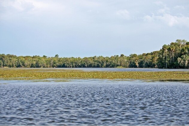 Isle of St. Johns, Georgetown, FL à vendre - Photo du bâtiment - Image 2 de 50
