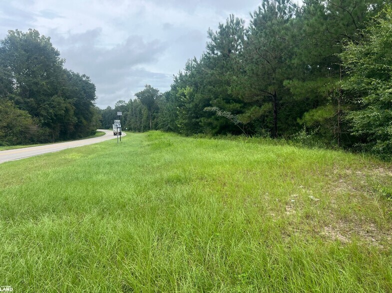 0 State 167 hwy, Hartford, AL à vendre - Photo du bâtiment - Image 3 de 7