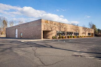 More details for 181-191 Remington Blvd, Ronkonkoma, NY - Industrial for Sale