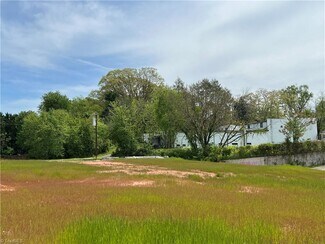 Plus de détails pour 455 Franklin St, Mount Airy, NC - Terrain à vendre