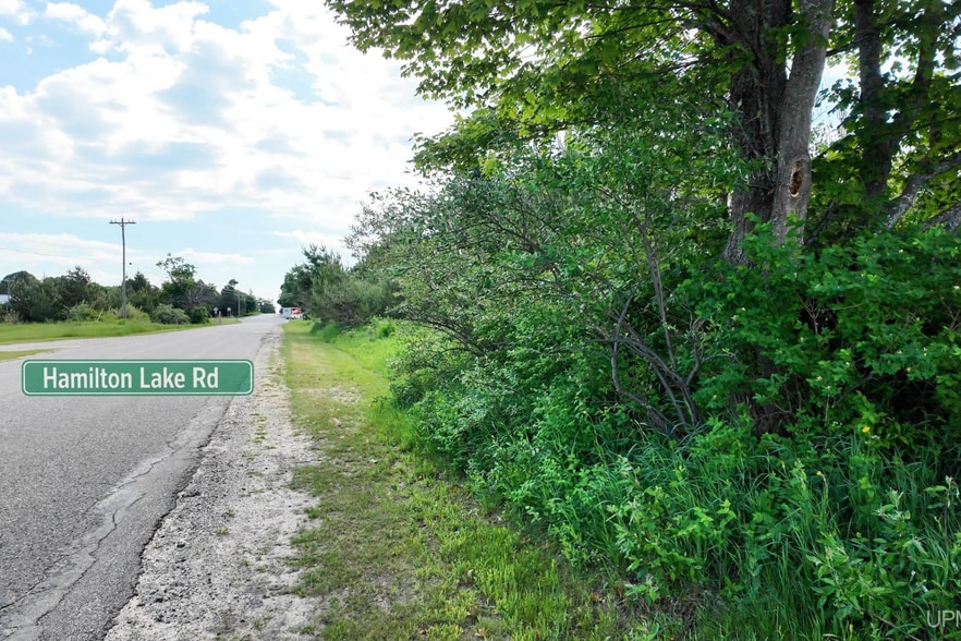 TBDState Highway M-123, Newberry, MI à vendre - Autre - Image 3 de 6