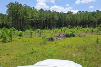 More details for 00 US 49 Hwy, Mendenhall, MS - Land for Sale