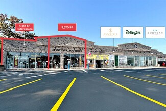 Plus de détails pour 925 Walt Whitman Rd, Melville, NY - Commerce de détail à louer