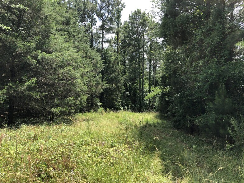 Bush River Rd, Newberry, SC à vendre - Photo du bâtiment - Image 3 de 5