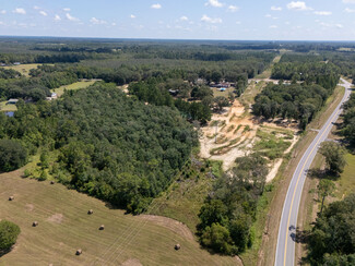 Plus de détails pour 2280 Boswell Rd, Bonifay, FL - Terrain à vendre