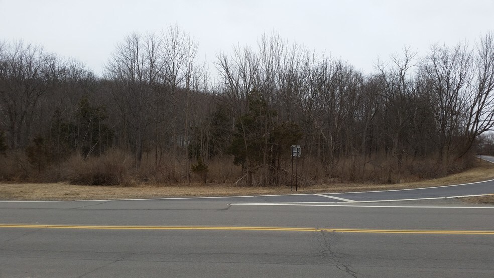 0 Route 55, Lagrangeville, NY à vendre - Photo du bâtiment - Image 1 de 1