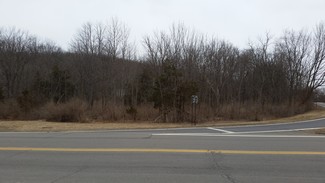 Plus de détails pour 0 Route 55, Lagrangeville, NY - Terrain à vendre