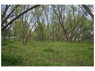 Genesee St, Chittenango, NY à vendre Photo principale- Image 1 de 7