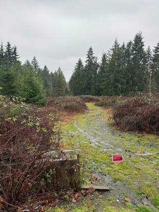 Plus de détails pour Woods Road, Port Orchard, WA - Terrain à vendre