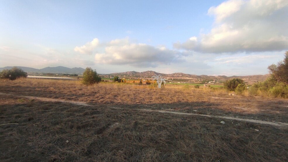 Partida Alcana, Aspe Pedanias, 49, Elche, Alicante à vendre - Aérien - Image 2 de 5