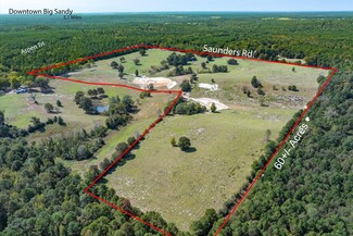 Plus de détails pour 00 Saunders Rd., Big Sandy, TX - Terrain à vendre