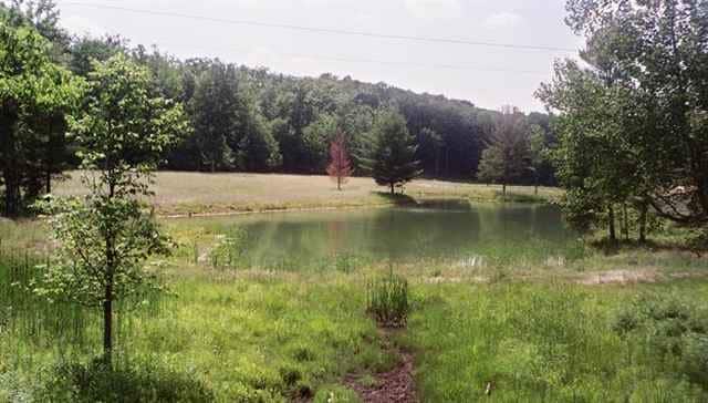 M-55 & M-37, Wellston, MI for sale Primary Photo- Image 1 of 16