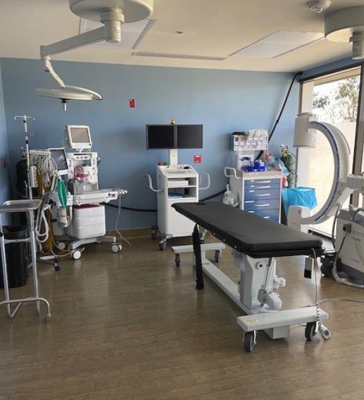 1241 E Hillsdale Blvd, Foster City, CA for lease Interior Photo- Image 1 of 6