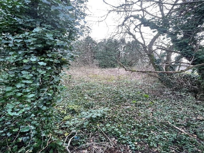 Main St, Sauchie for sale - Other - Image 3 of 5