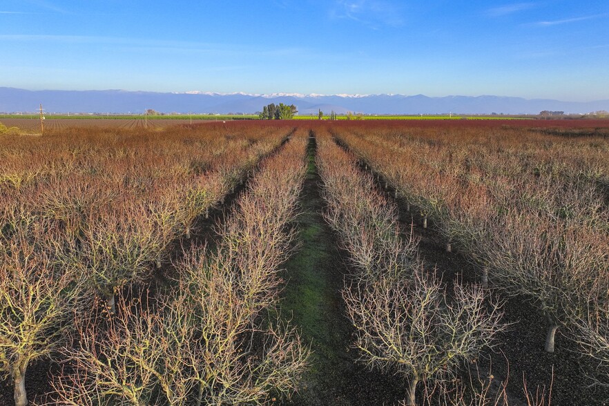 39738 Road 108, Cutler, CA for sale - Building Photo - Image 3 of 12