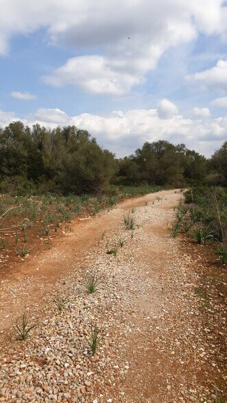 Ma, 6014, Llucmajor, Islas Baleares à vendre - Photo principale - Image 2 de 11