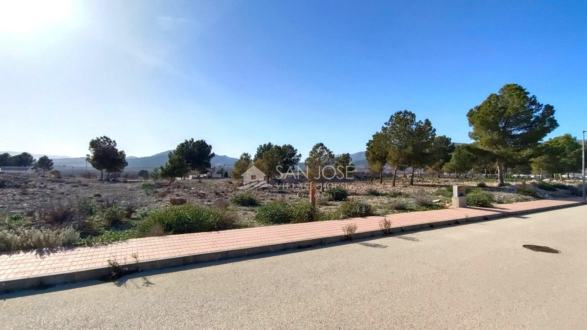 Land in Salinas, Alicante for sale Primary Photo- Image 1 of 8