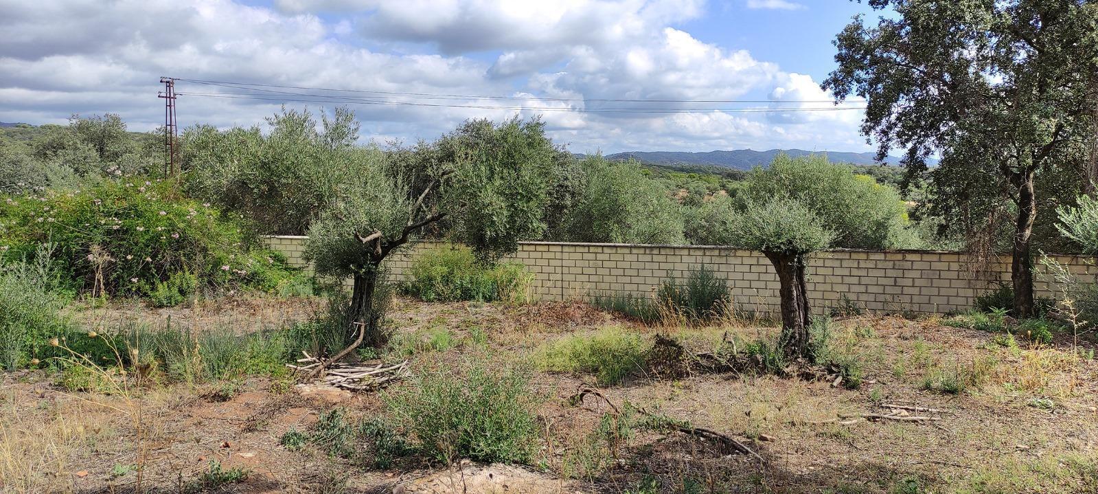 Land in Córdoba, Córdoba for sale Primary Photo- Image 1 of 10