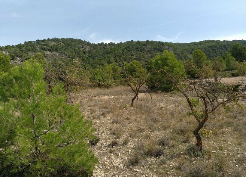 Terrain dans Abanilla, Murcia à vendre - Plan de site - Image 3 de 8