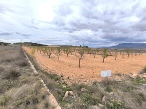 Plaza Pedáneo Ricardo Yáñez, Yecla, MUR - AÉRIEN  Vue de la carte