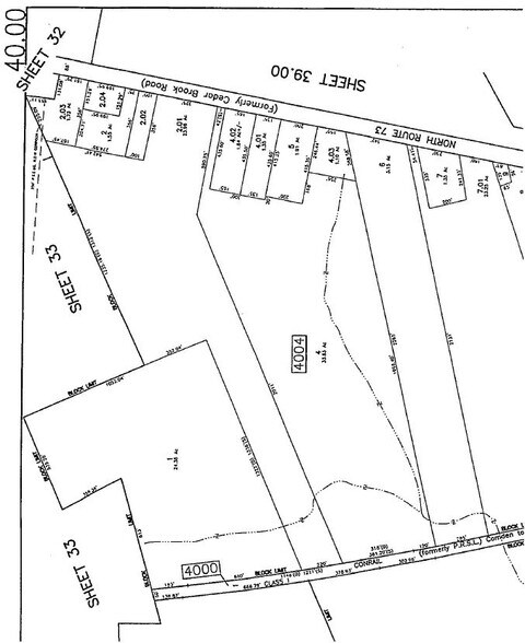 N Route 73, Berlin, NJ à vendre - Photo principale - Image 2 de 2