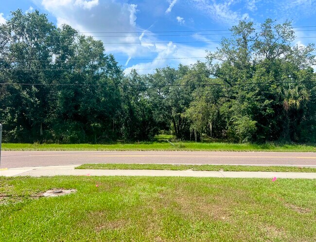 Plus de détails pour 1308 E Alsobrook St, Plant City, FL - Terrain à vendre