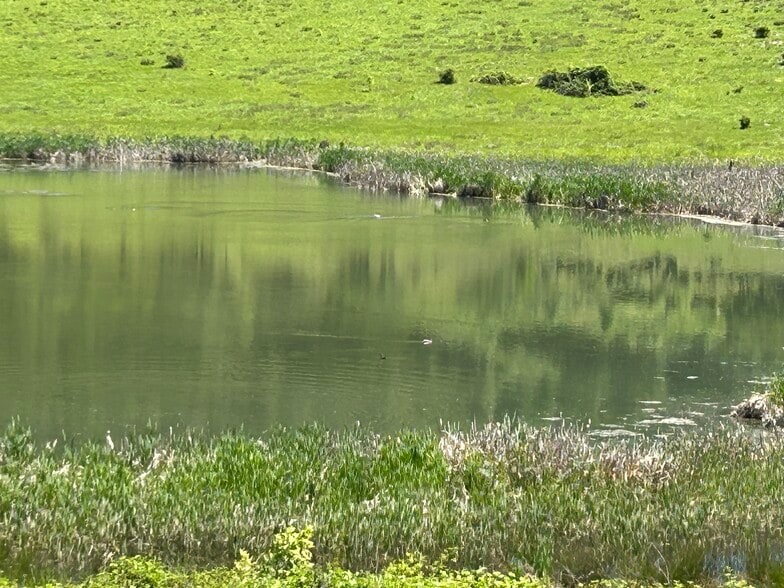 5908 Foothill Rd, Central Point, OR for sale - Other - Image 3 of 58