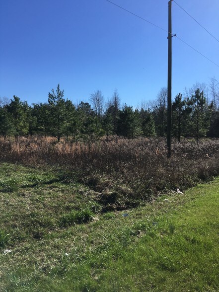 0 Hwy 453, Holly Hill, SC for sale - Other - Image 2 of 2