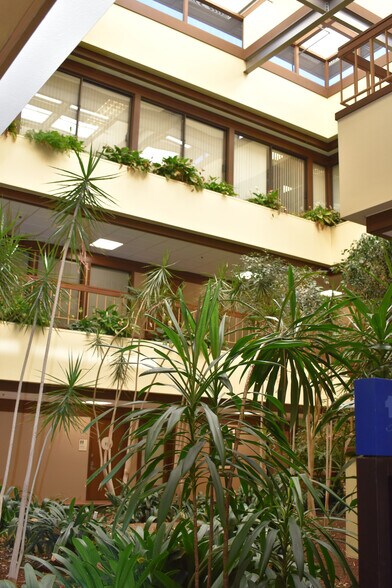 1111 Sonoma Ave, Santa Rosa, CA for lease - Interior Photo - Image 3 of 7