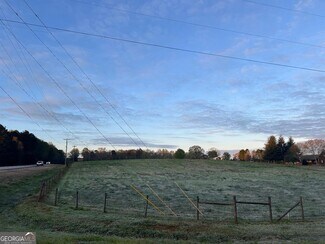 Plus de détails pour Hwy 441 & Freemans Creek rd, Bishop, GA - Terrain à vendre