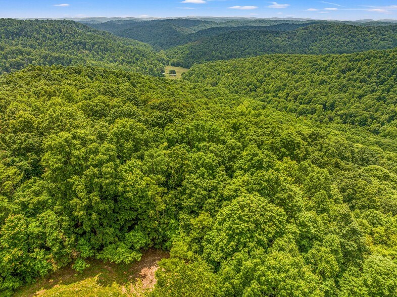 1945 Pittman Branch Rd, Mount Vernon, KY à vendre - Aérien - Image 3 de 9
